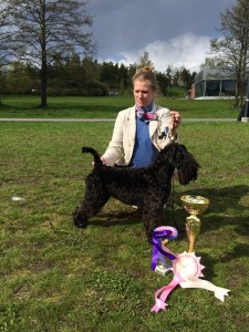 Cindyn 3. näyttely, Vantaa 14.5.2015