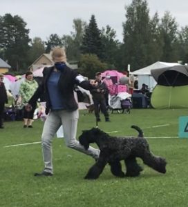 Rufus liikkeessä 28.8.2021